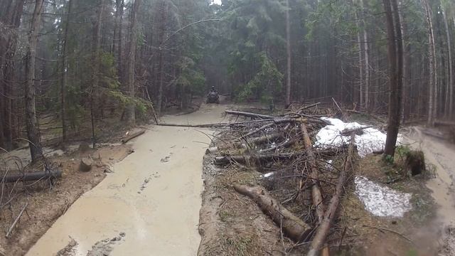 Карпатский Кордон гора Болотняк май 2017