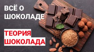 Всё о шоколаде. Теория шоколада для начинающих кондитеров