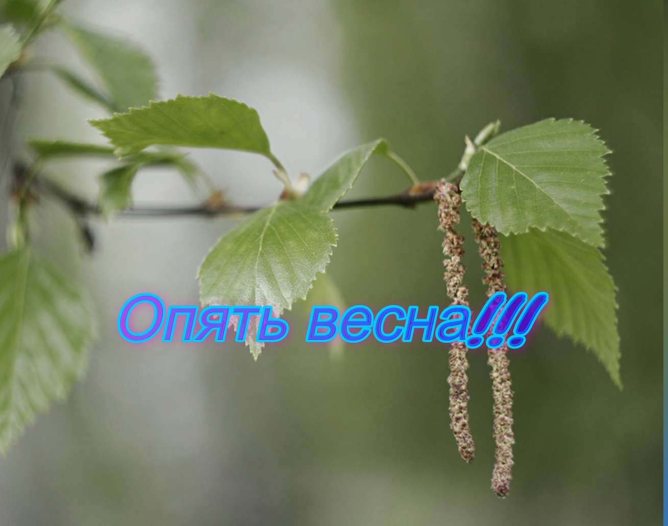 Опять весна!