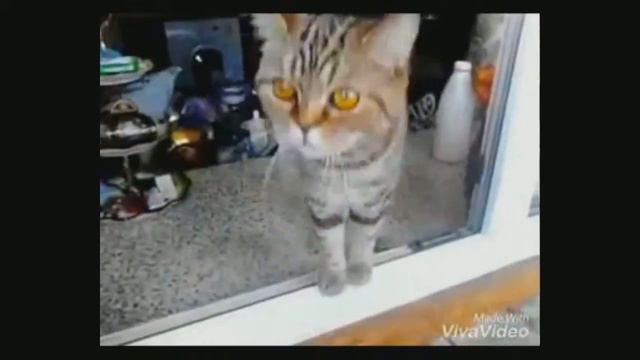 От улыбки станет всем теплей смотреть онлайн