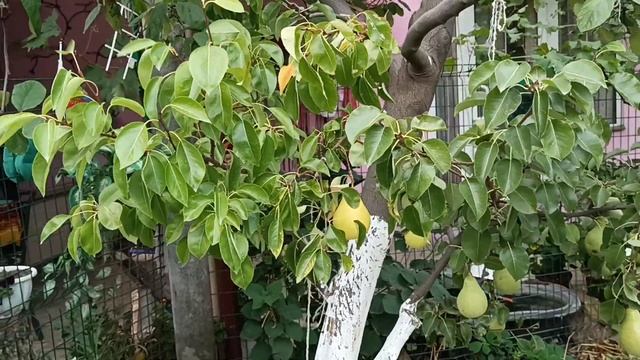 Харцызск, обстановка...