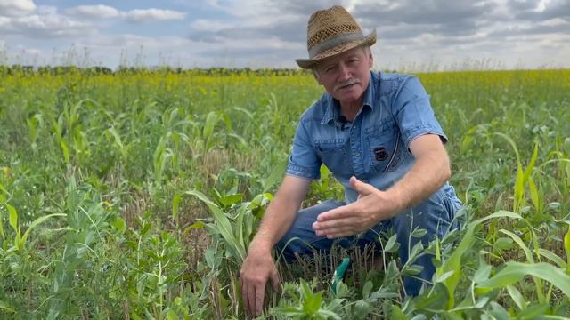 Михайло Войтовик випробовує суміши покривних культур смотреть онлайн