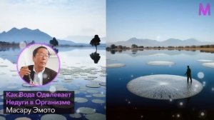 Послушайте Как Живая Вода Исцеляет Организм. Профессор Александр Степанов