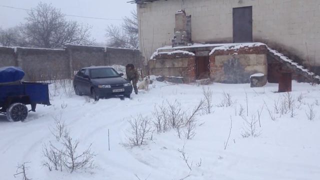 Участники Чемпионата "Битва под Полтавой" смотреть онлайн