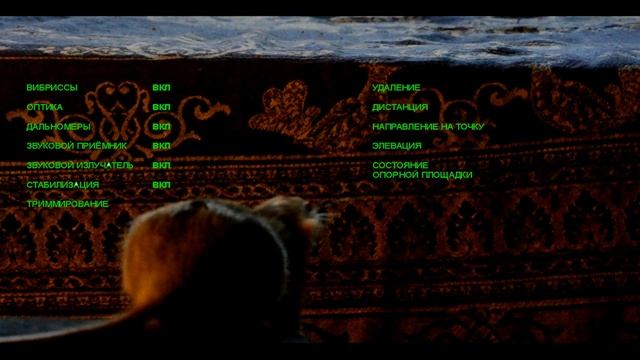 Крыса прыгает / Rat jumping смотреть онлайн