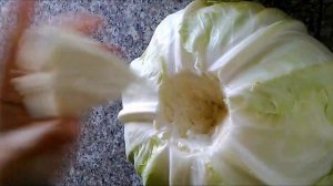 как быстро подготовить листья капусты для голубцов в микроволновке