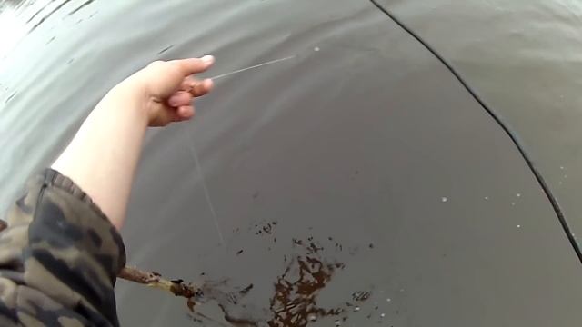 Рыбалка на Налима! Река, Осень! Налим Жирует, Ночь, Донка и Горы Налимов. смотреть онлайн