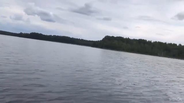 ГОЛУБИКА / ЖЕЛЕ из голубики / ЗАГОТОВКИ на зиму / Болотная ягода / ЛЕС Карелии смотреть онлайн