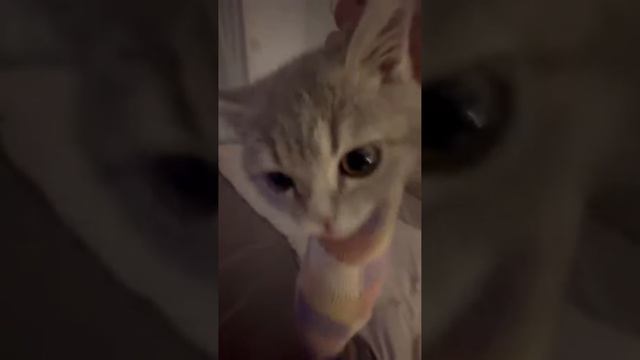 Попался, который кусался смотреть онлайн