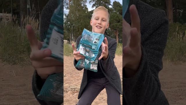 Чилимся с семечками 