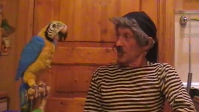 Боцман и попугай 4 смотреть онлайн