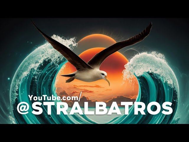 ПОНЕДЕЛЬНИЧНЫЙ ЭФИР / Съёмки в кино / В Москву / Погода в Анапе / Новая книга о КПП / HelloTalk