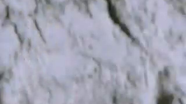 Zemfira - I'm so sorry, my love смотреть онлайн