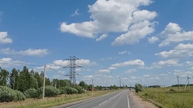 Аисты в Можайске 06  ПОЛЕТЕЛИ (2021.07.31_14:26:31)