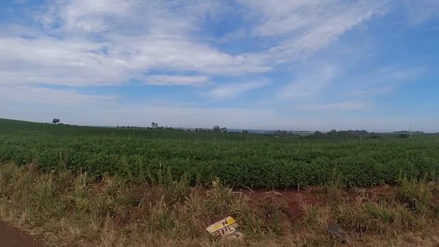 O Som Da Roça + De 01 HORA DE MODÃO DE VIOLA - Viola Caipira/Sertanejo Raiz смотреть онлайн