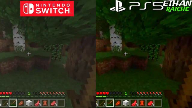 Minecraft PS5 vs Nintendo Switch Graphics Comparison смотреть онлайн