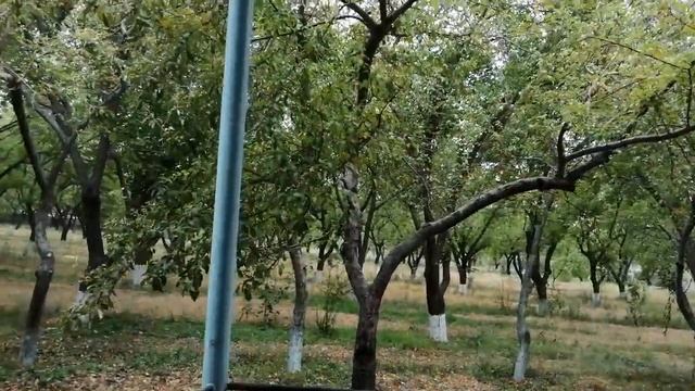Нурафшон санаторияси коттедж смотреть онлайн