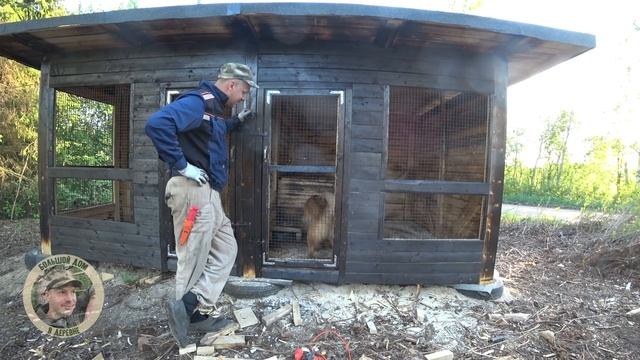 КУПИЛ ДОМ В ДЕРЕВНЕ / ? КАРЕЛО ФИНСКИЕ ЛАЙКИ / ЮКУМА ДОЖДИК ЗНАКОМЯТСЯ смотреть онлайн