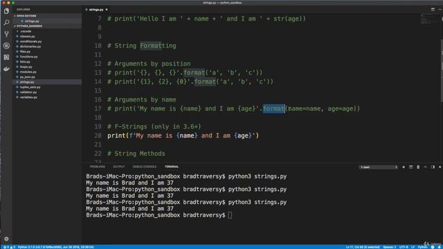 Python Django Dev To Deployment Project Based Course - Strings & Formatting - Video 6.2 - Brad смотреть онлайн