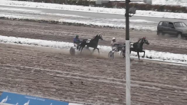 ЦМИ.Ипподром.Хреновского конного завода. смотреть онлайн