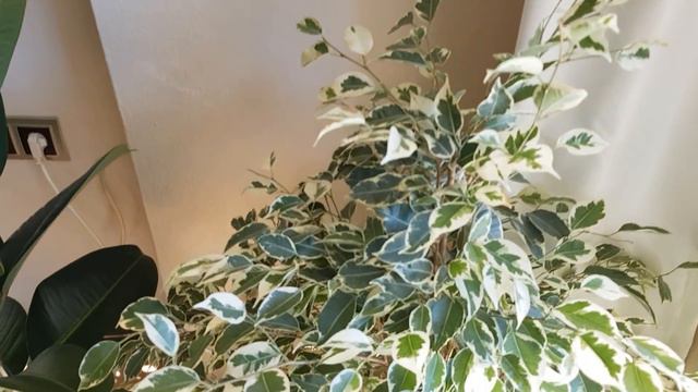 пристают ли ко мне мужчины / ЗАНОВО родилась / тортик для свекрови / ИЗМИР Турция смотреть онлайн