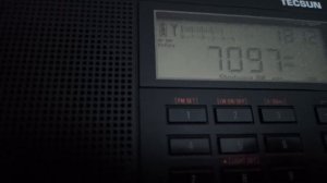 Tecsun PL-990 vs Tecsun PL-680 LSB (2)