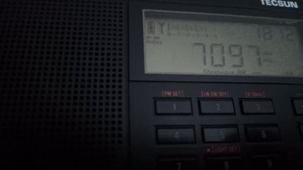 Tecsun PL-990 vs Tecsun PL-680 LSB (2)