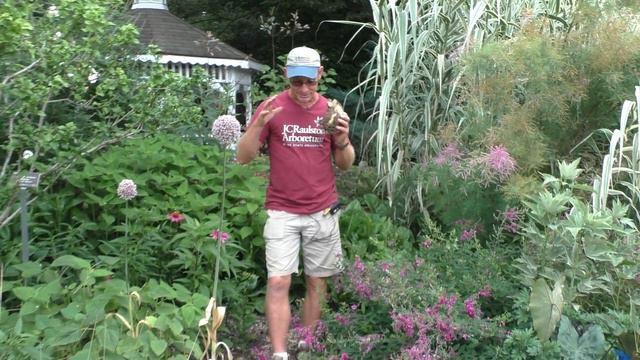 Gardening 101 - "June Gardening Tasks" смотреть онлайн