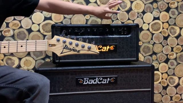 BadCat Fat Cat 50 + Ibanez Andy Timmons AT-100 Japan смотреть онлайн