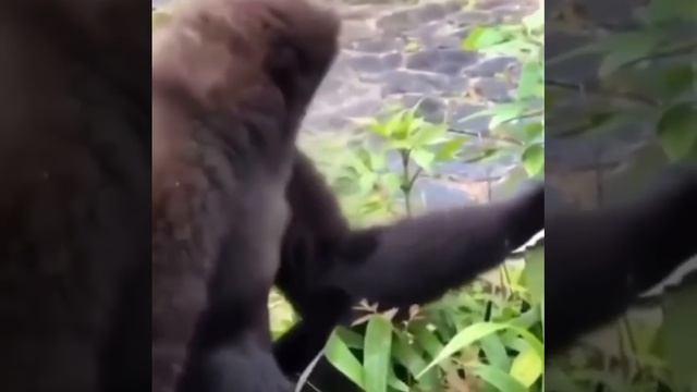 Когда пришла зарплата смотреть онлайн
