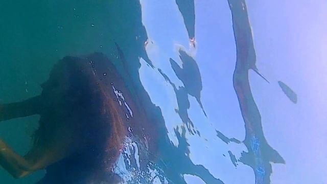 Artistic Freediving Piura-Perú