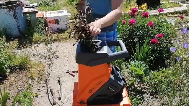 Измельчитель DAEWOO DSR 2700E-T смотреть онлайн