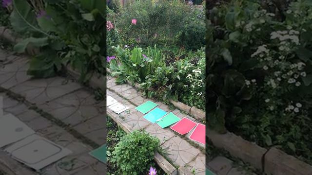 Гигантская игра ходилки с жекой689 смотреть онлайн