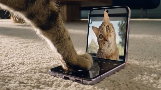 Samsung Galaxy Flip 5 - PRICE! смотреть онлайн