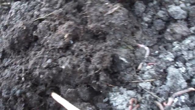 Копнул в золе. 27.08.2012 1 смотреть онлайн