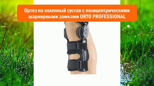 Светлые стороны домашних животных