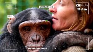 Женщина родила от ШИМПАНЗЕ... Это всех повергло в Ш*К!