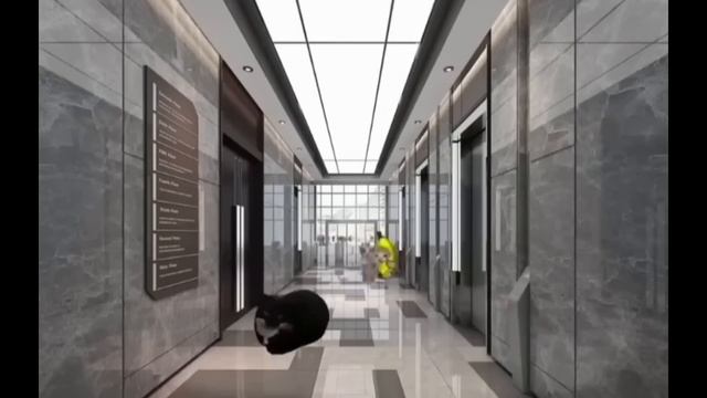 Happy Cat Best Compilation