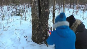 Сиреноголовый все серии о сиреноголовом Siren Head / фильм сиреноголовый в городе поймал маму