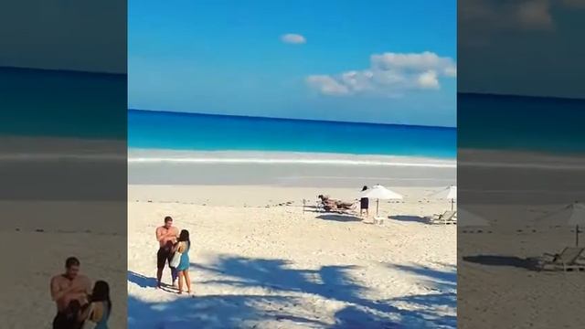 Pink Sands Beach смотреть онлайн