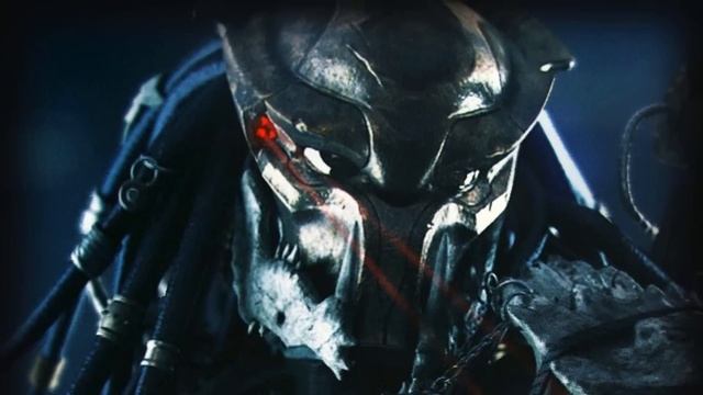 The 13 Ranks In Predator Heirarchy Society смотреть онлайн