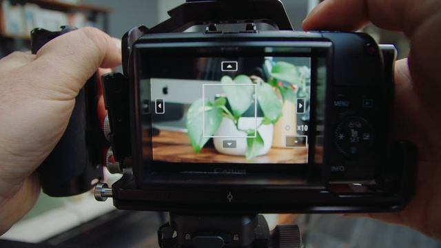 Master your Canon EOS M like never before⎮Crop Mood ⎮Raw смотреть онлайн