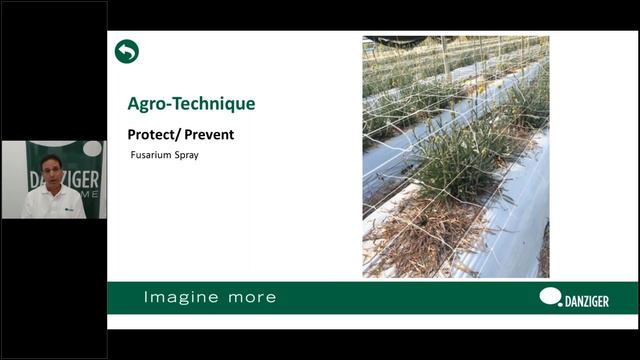 Webinar - Cut Flowers смотреть онлайн