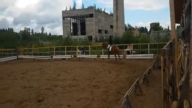 КСК Ковбой соревнования 28.06.2015 смотреть онлайн
