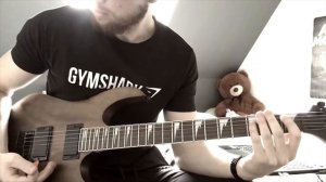 RAMMSTEIN - REISE REISE - GUITAR COVER