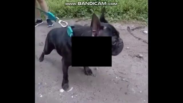 когда тупанул и ни туда поставил своё лицо прямо по середине. смотреть онлайн