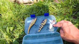 Твичинг. Часть 2. Воблеры -составники. Как их твичить.