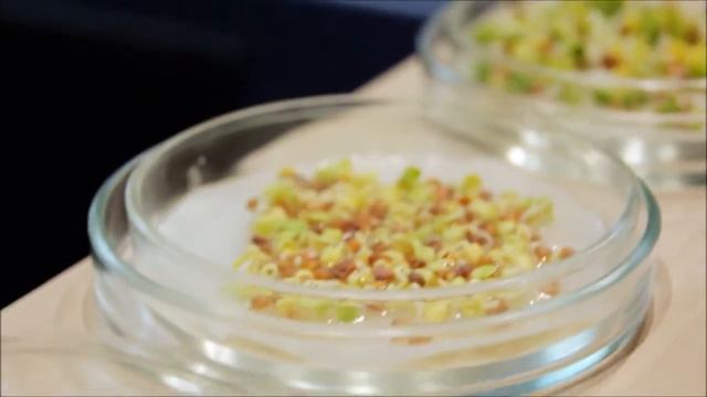 Гавриш смотреть онлайн