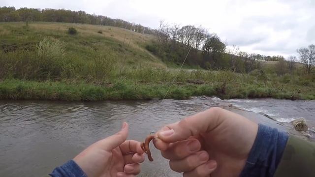 Berkley GULP Earth Worms TROPHY TROUT CHALLENGE! смотреть онлайн