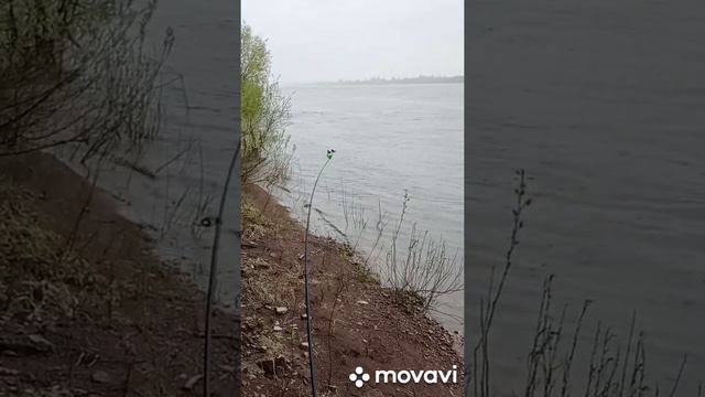 Первая рыбалка на Вятке после весеннего полноводия смотреть онлайн